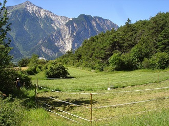 a roped off field with trees and mountains in the background